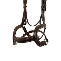 The Bedminster Bridle